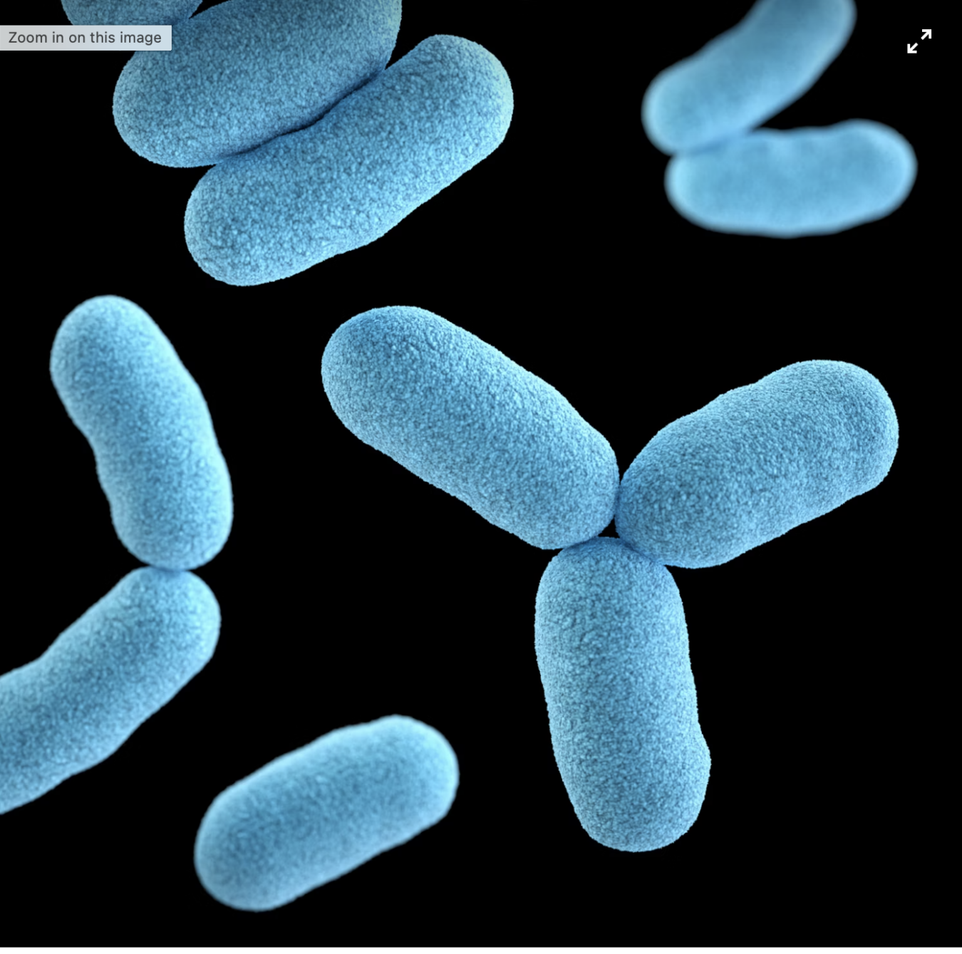 Micro Testing image